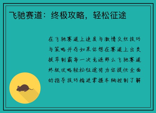 飞驰赛道：终极攻略，轻松征途
